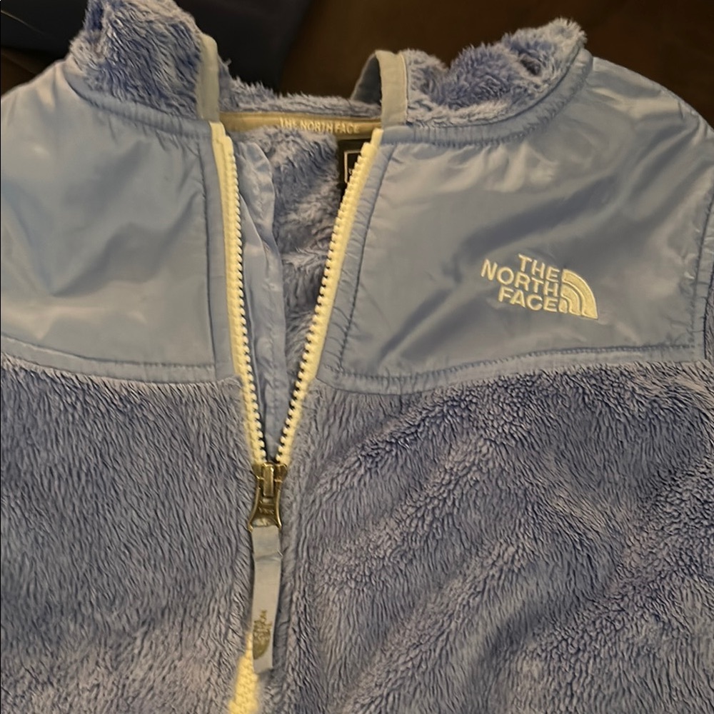 The North Face Light Blue Fleece Jacket